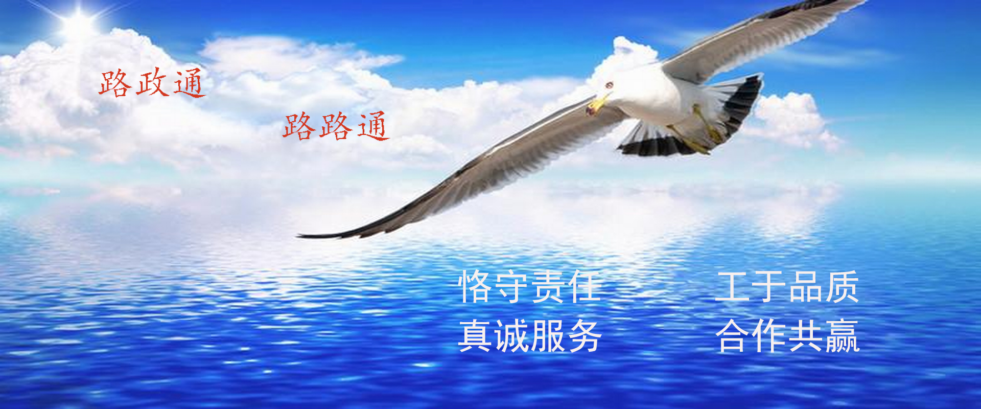 公司介绍